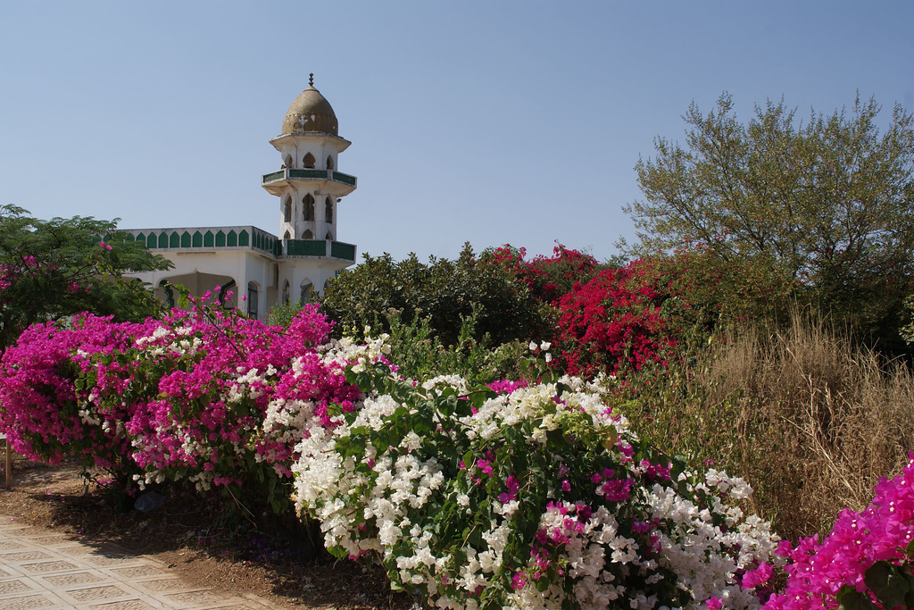 Gardens At Job's Tomb