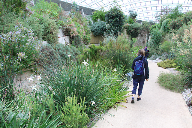 The Glasshouse