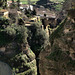 Ronda