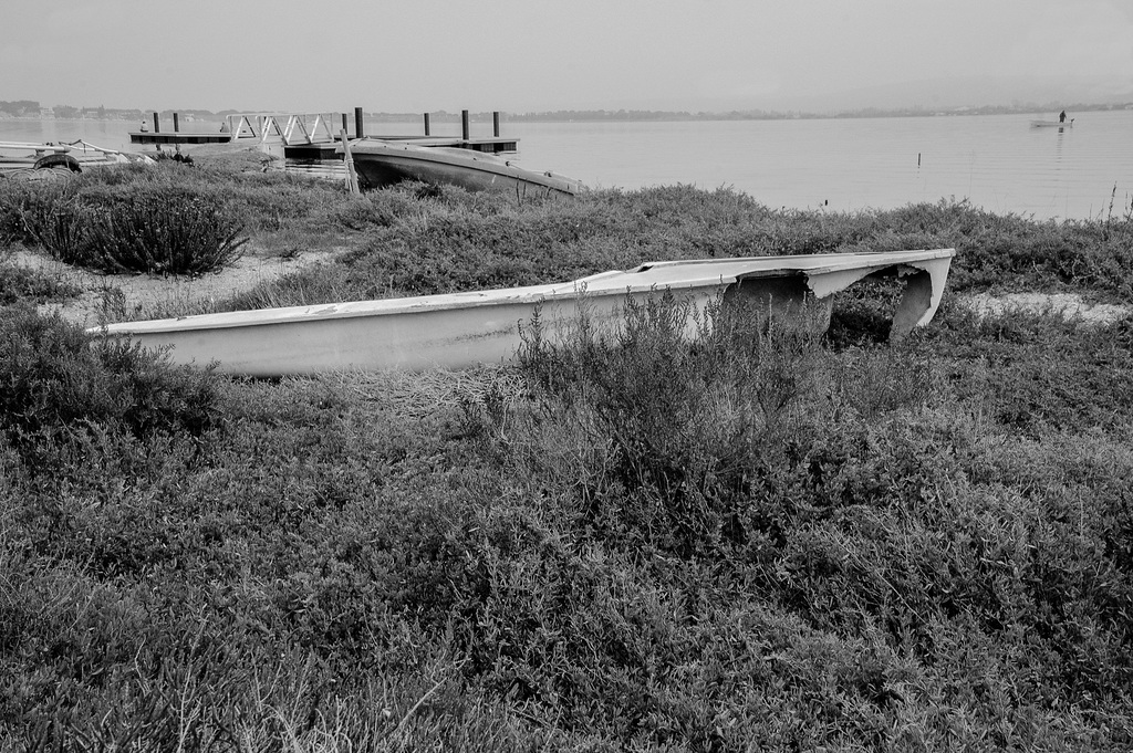 DSC 8813