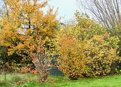 Der Herbst verabschiedet sich