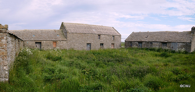 Abandoned threshing mill downstream of the Mill of Eyrland