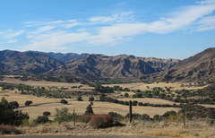 Parkfield Coalinga Road (3549)