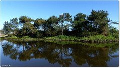 PARC du TEICH (33 Gironde)