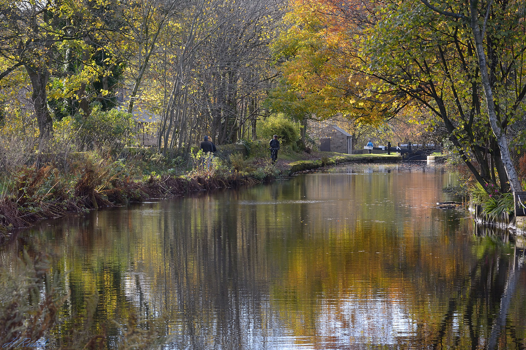 The joys of Autumn