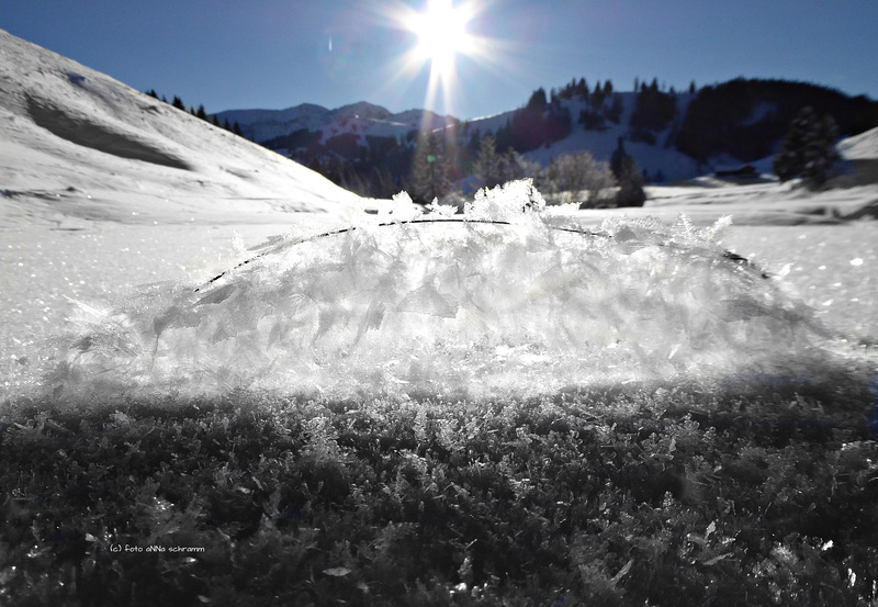 ... im Reich der Schneekönigin ... (PiP)