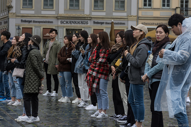 wir waren nicht die einzigen Besucher in Dresden - P.i.P. (© Buelipix)