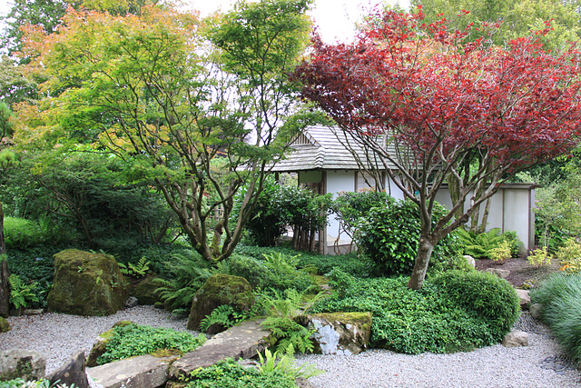 Japanese Gardens