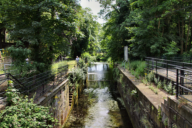 Die alte Schleusenkammer der Ruhrschleuse Neukirchen (Essen-Werden) / 27.06.2021