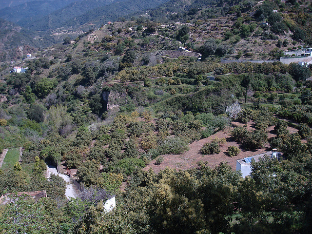 Sierra de las Nieves bei Istán