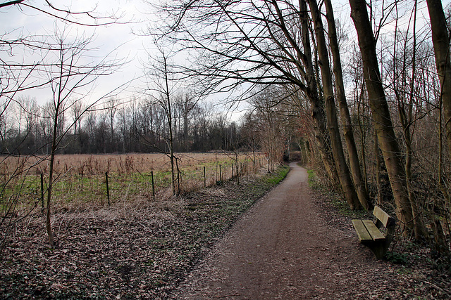 Weg am Kellerbach (Schwerte-Geisecke) / 9.03.2024