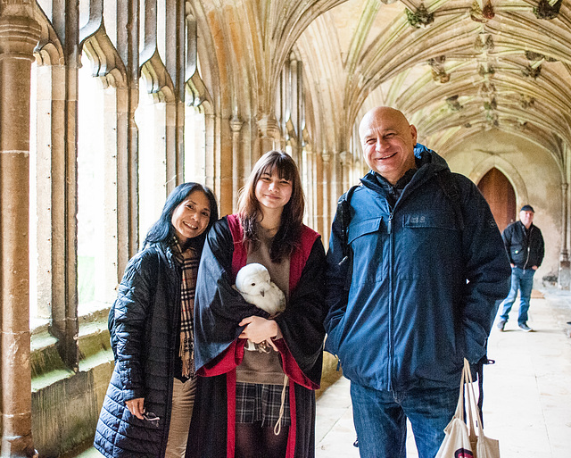 Visitors, and an Owl