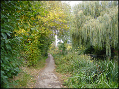 autumn green canal path