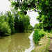 Ashby Canal looking South from Bridge 21