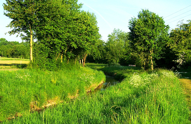 DE - Weilerswist - A walk around my Hometown