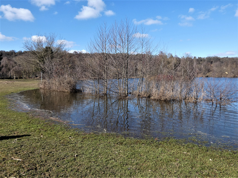 Saltendorfer Weiher