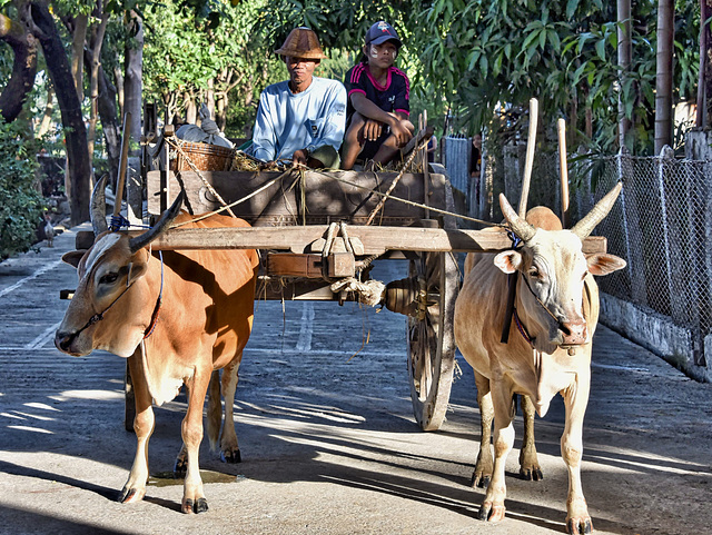 Zinkyaik Mon State Burma 12th January 2018