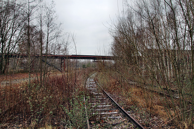 Verwilderte Gleise bei der Schachtanlage Zollverein 1/2/8 (Essen-Stoppenberg) / 21.01.2023