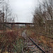 Verwilderte Gleise bei der Schachtanlage Zollverein 1/2/8 (Essen-Stoppenberg) / 21.01.2023