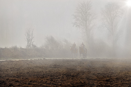 Geisterreiter - Ghost riders