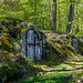 Grafenwöhr-Anna-3