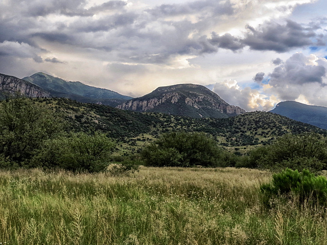 Coronado National Forest