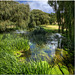 The Stour at Godmersham