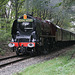 LMS class 8P Coronation 4-6-2 6233 DUCHESS OF SUTHERLAND with 1J62 14.30. Rawtenstall - Haywood at Summerseat 19th October 2018. (ELR)