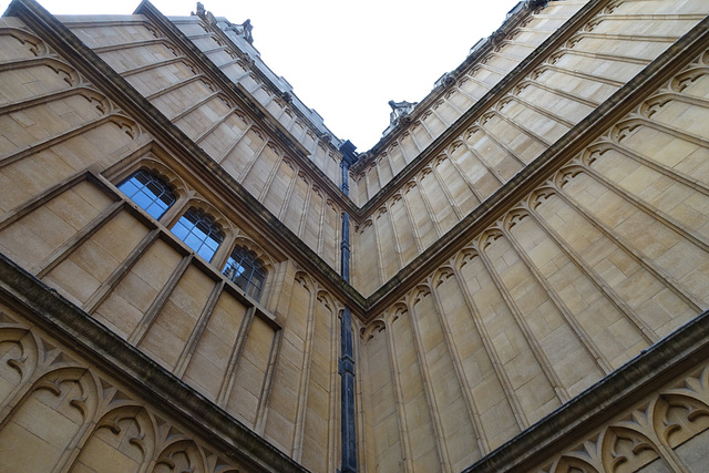 Bodleian Quadrangle