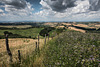 HFF - Crete Senesi