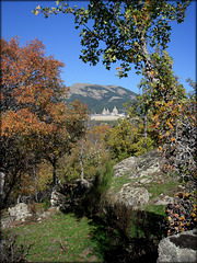 El Escorial from the Herreria Woods