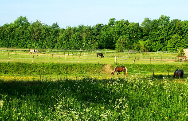 DE - Weilerswist - A walk around my Hometown