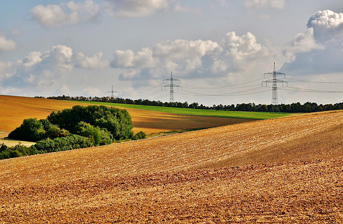 Fränkische Agrarlandschaft - Franconian agricultural landscape