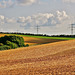 Fränkische Agrarlandschaft - Franconian agricultural landscape