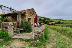 Mata Pequena, Portugal