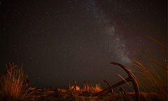 Praia do Rei Praia do Rei