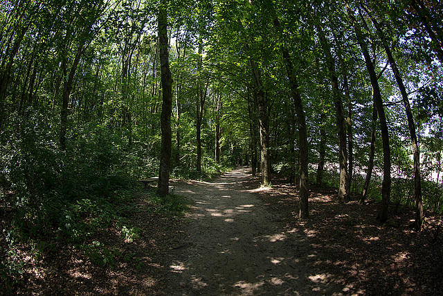 20140719 4303VRFw [D~LIP]  Freilichtmuseum Detmold