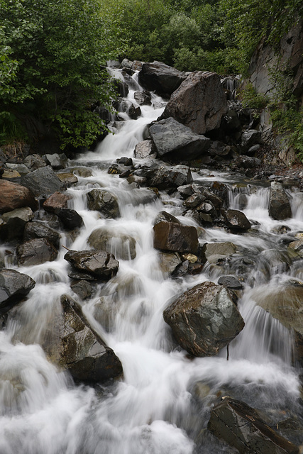 Harding Icefields Trail