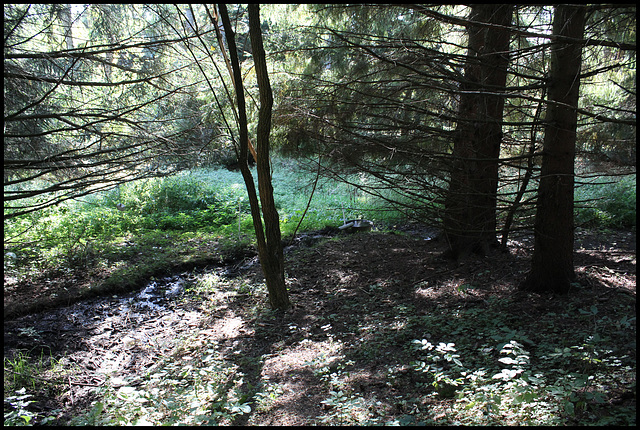 Autour du jardin- pessière (2)