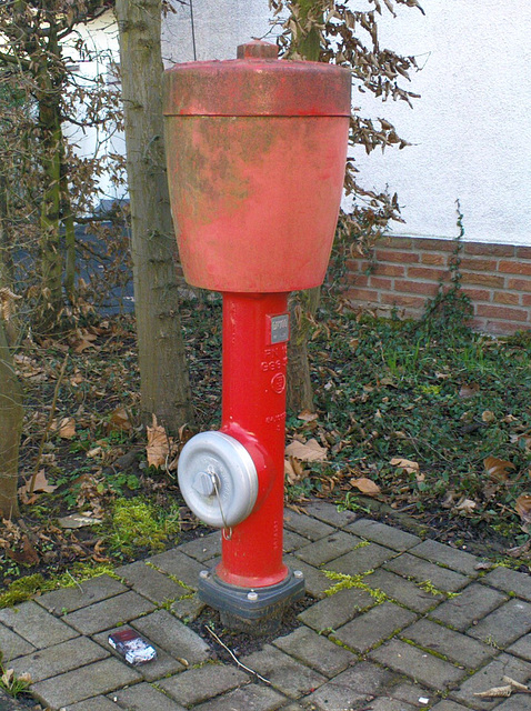 Hydrant in Braunfels