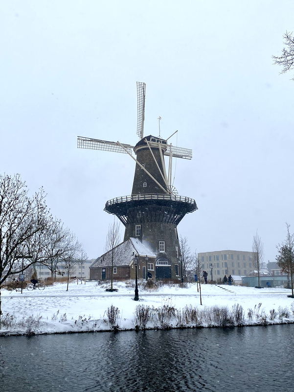 Windmolen „de Valk”