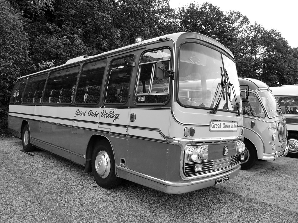tfoct242021 (1033)