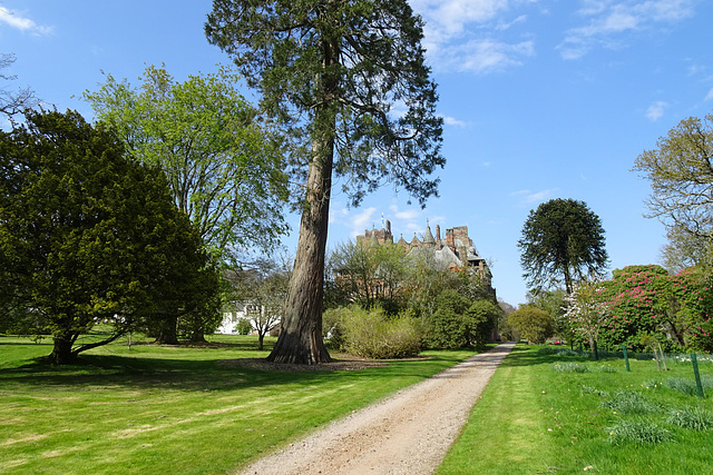 Mount Stuart Grounds