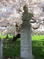 paddington cemetery, brondesbury, london