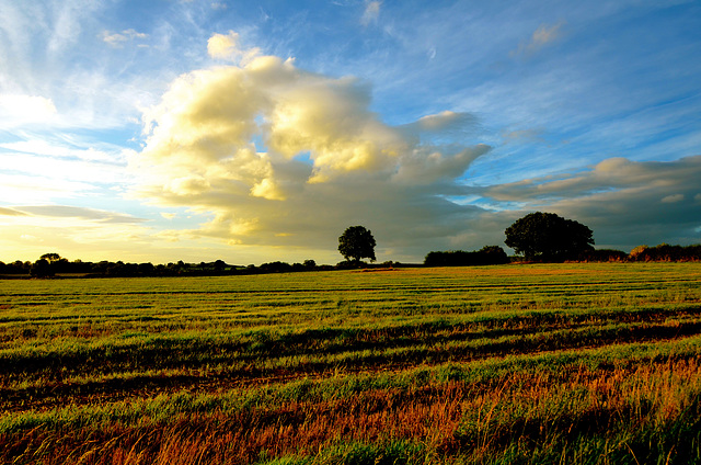 Evening skies near Gnosall