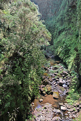 Rabaçal und die 25 Quellen (08) - An der "Levada das 25 Fontes"