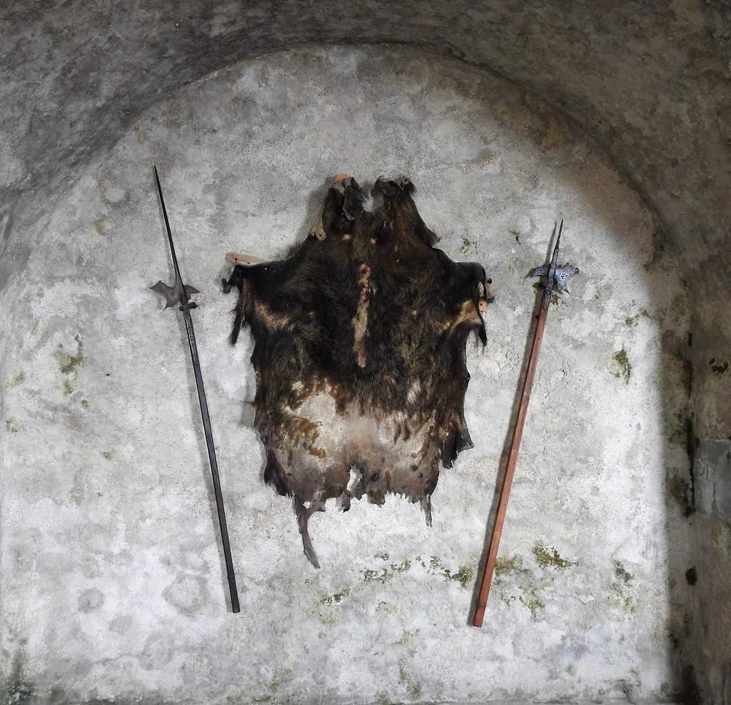 Wildschweingeist