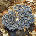 A blue fungus.