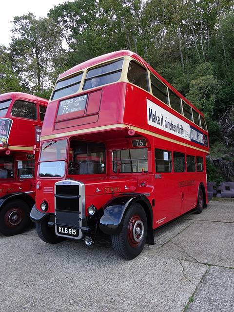 tfoct242021 (1034)