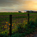 Sonnenaufgang im "Bergischen Land"